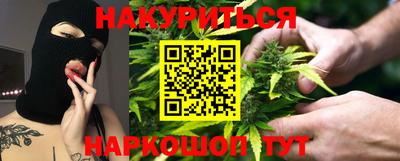 сатива Краснодар