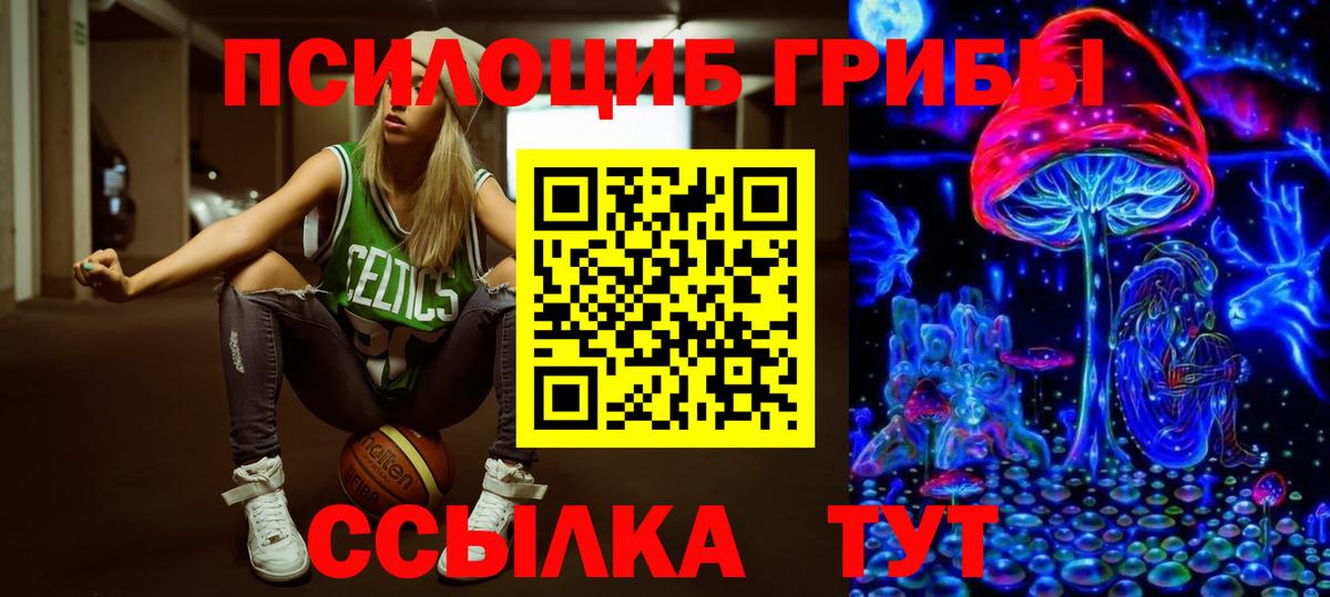 купить закладку  Вход с VPN  Кизляр  Псилоцибиновые грибы MAGIC MUSHROOMS 